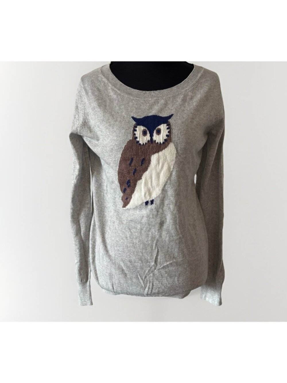 Novelty Owl Sweater Women’s M Old Navy Preppy Classic Academia Casual Office NWT